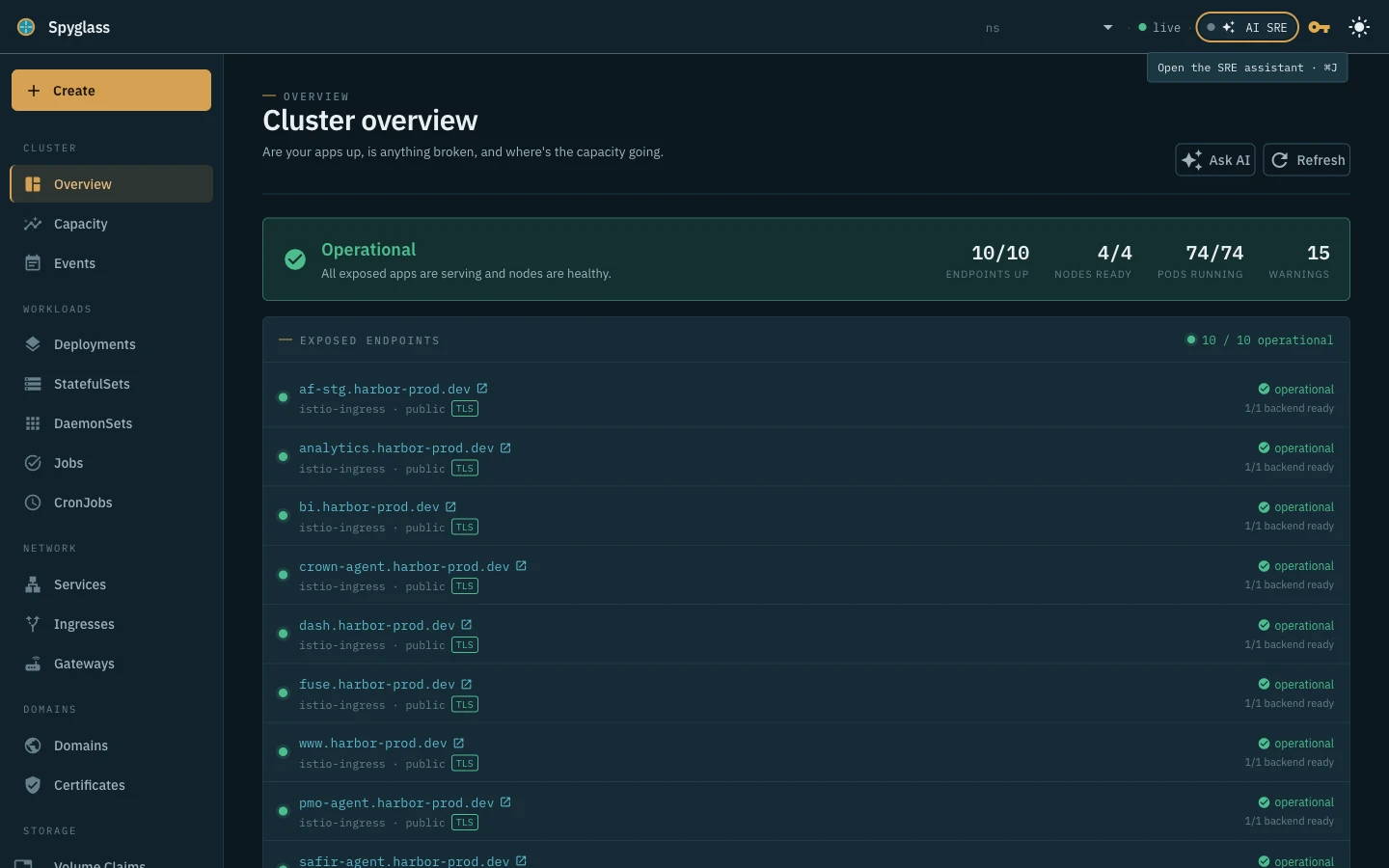 Berth dashboard showing endpoint health, node and pod readiness, and cluster capacity.